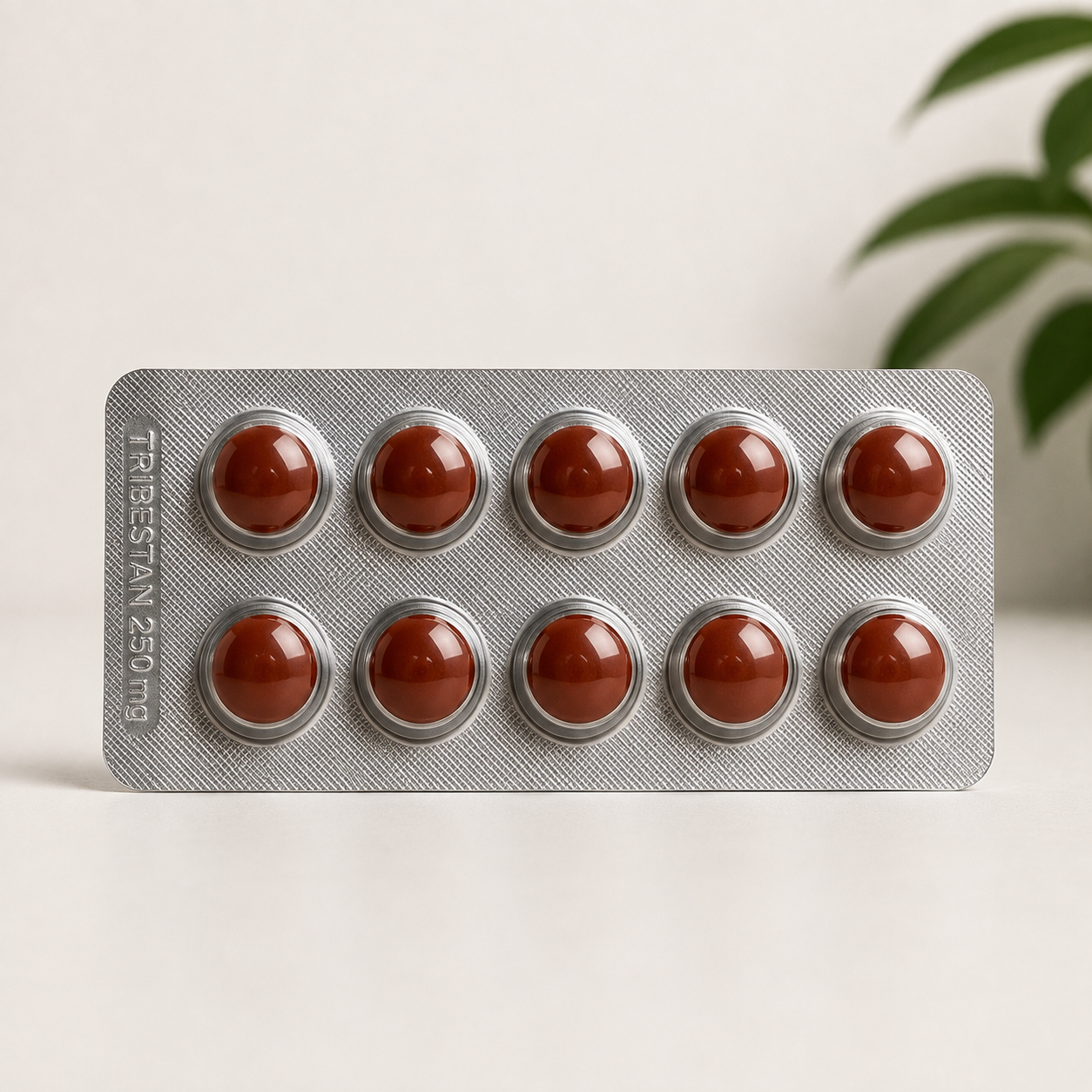 Tribestan® 250 mg — 60 Film-Coated Tablets